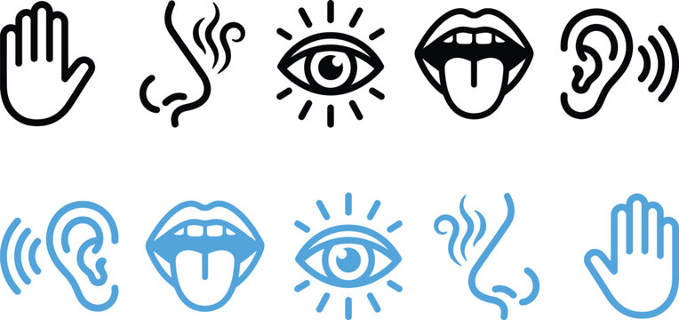 Set of five human senses icons representing touch smell sight taste and hearing with touch icon sensory perception simple icons minimalist