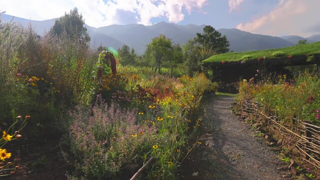 Vibrant Flower Garden with Woven Fence and Mountain View