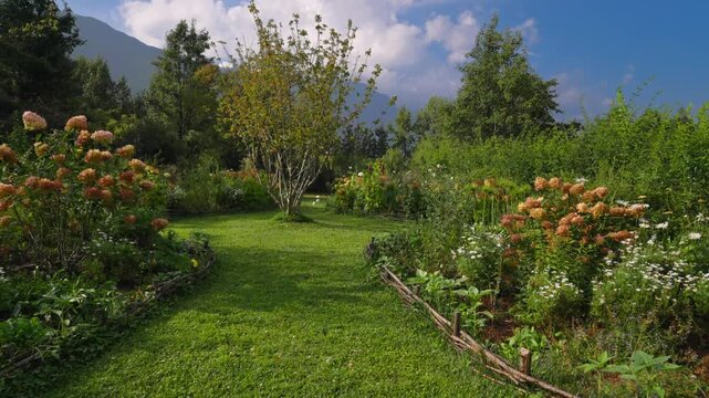 Lush Garden with Hydrangeas and Mountain View