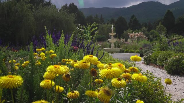 Lush garden with golden blooms and fountain