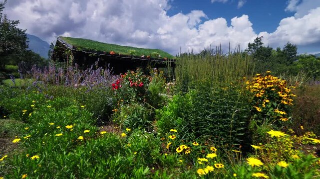 Vibrant Flower Garden with Turf-Roofed Cabin in Countryside