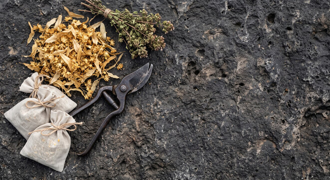 Overhead flat lay of Hungarian linden flowers and wild oregano on andesite stone