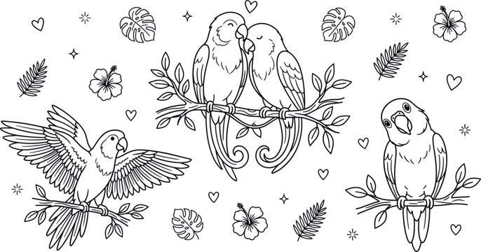 Tropical parrot vector bundle featuring cute lovebirds perched on branches hibiscus flowers palm leaves and hearts lineart