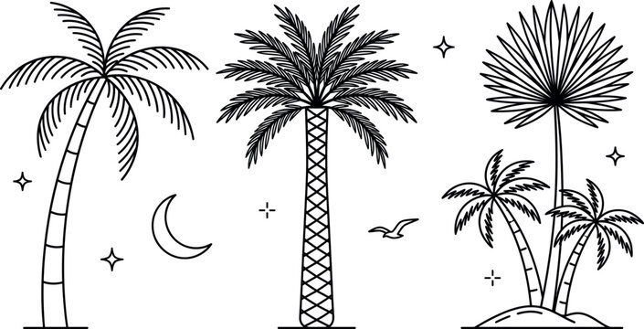 Tropical palm tree vector bundle featuring exotic coconut trees island oasis crescent moon and flying seagull lineart