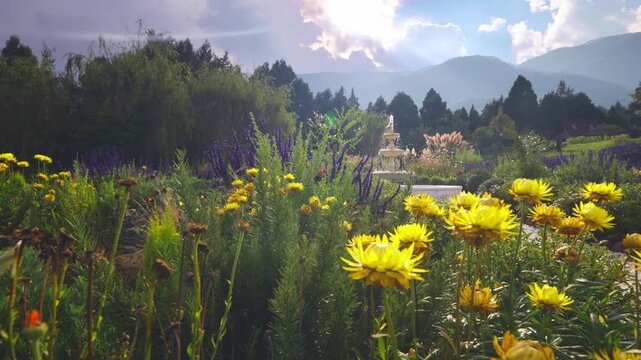 Sunny Garden with Yellow Flowers and Mountains