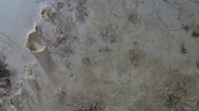 Wall or ceiling surfaces severely damaged by high humidity, characterized by peeling or bubbling paint, cracking, and the growth of black mold stains.