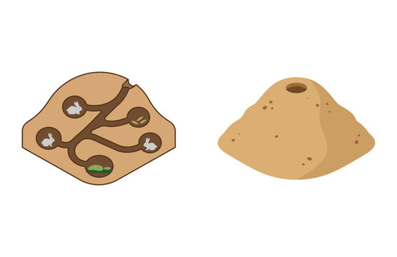 Isometric Vector Illustration of a Rabbit Burrow and Underground Tunnel Habitat System