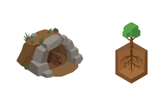Isometric Bear Cave and Tree with Roots Underground Cross Section Vector Illustration