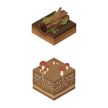 Isometric Vector Illustration of Forest Ground with Rotten Log and Wild Mushrooms