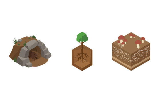 Isometric Nature Elements Including Bear Cave Tree Root System and Mushroom Soil Cross Section