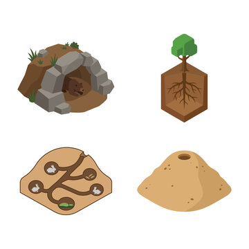 Isometric Vector Illustration of Animal Burrows and Plant Root Systems