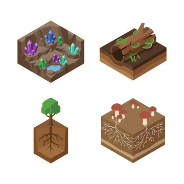 Isometric Natural Environment and Forest Ground Cross Section Vector Illustration