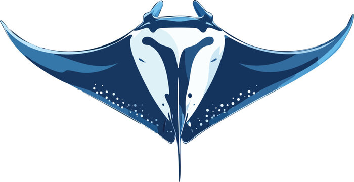 2d manta ray illustration, manta ray swimming