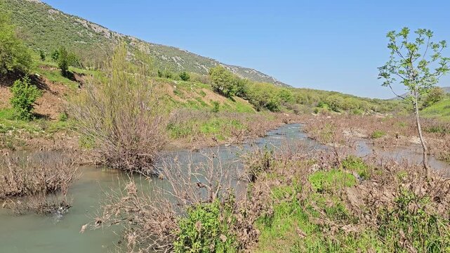 Calm stream flowing through dry bushes and green grass patches, with a young tree standing beside rolling hills under a clear spring sky
📍 Marivan, Kurdistan, Iran 