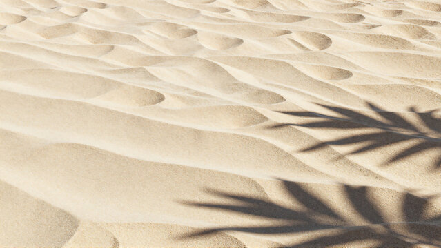 Abstract sand ripple pattern with a tropical palm leaf shadow cast