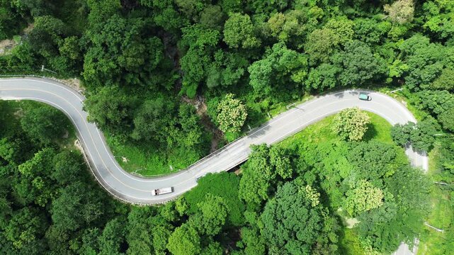 A vibrant White truck drives gracefully on a serpentine road through a lush green forest,, ESG, sustainability and green investment business concepts.