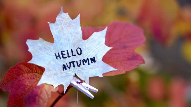 Autumn leaves painted in bright vivid colors on backdrop of seasonal trees. Decorative foliage features handwritten text HELLO AUTUMN lettering. Warm fall tones, woodland scenery and blurred