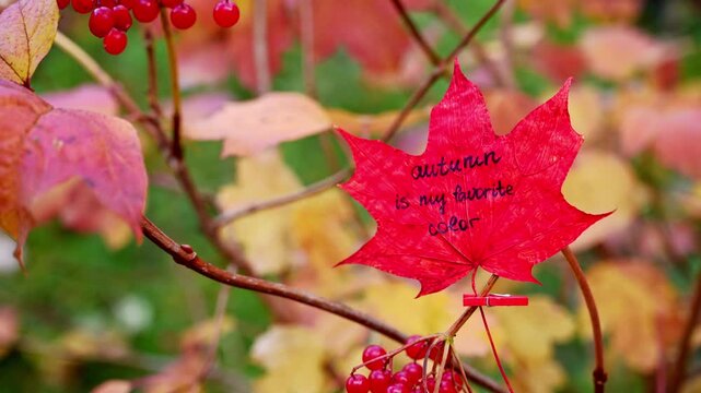 Autumn leaves painted in bright vivid colors on backdrop of seasonal trees. Decorative foliage features handwritten text AUTUMN IS MY FAVORITE COLOR lettering. Warm fall tones, woodland scenery and