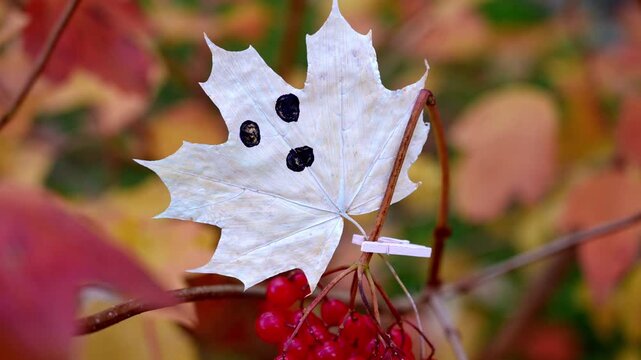 Autumn leaves decorated with white ghost faces hanging among colorful tree branches in seasonal woodland setting. Painted foliage with expressive spooky characters creates playful Halloween atmosphere