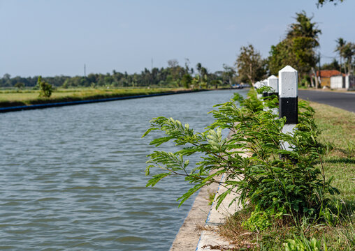 Water canal alongside a asphalt road with concrete boundary posts on a sunny day