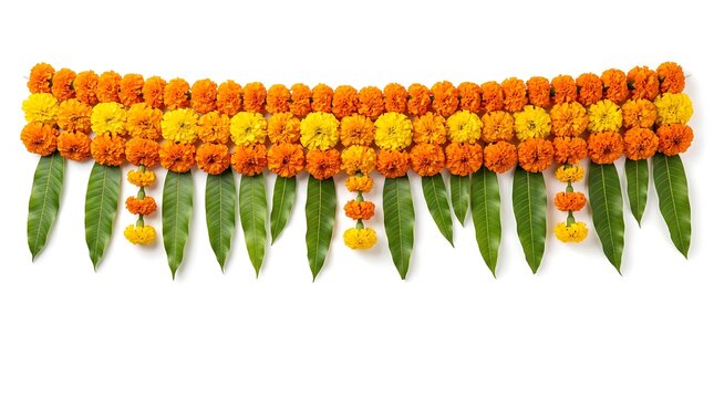 Indian Marigold Flower Toran with Green Mango Leaves for Diwali Festival Decoration and Dussehra Celebration Door Hanging Banner on White Background