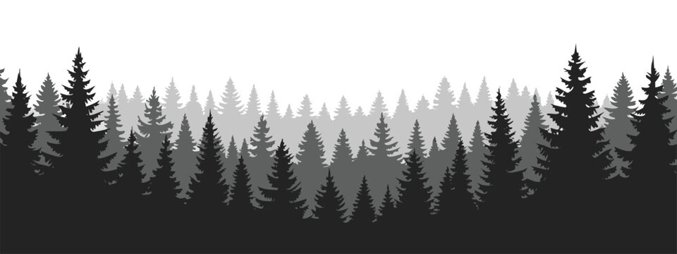 Black and white pine forest silhouette vector background misty wild nature landscape.