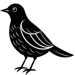 Fototapeta premium vector illustration of a bird