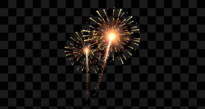 Vector Brightly Colorful Fireworks on the background of the night sky.