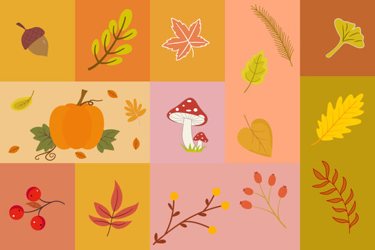 autumn, fall, botanical, collage, pumpkin, leaves, mushrooms, acorn, berries, foliage, autumn leaves, fall leaves, autumn pattern, seasonal, harvest, nature, botanical illustration, autumn background,