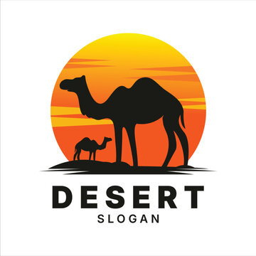 Desert Logo Design template Illustration Vector