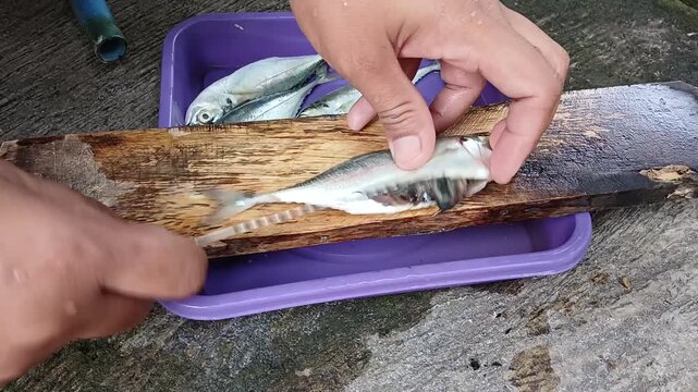 Hand Gutting and Cleaning Fresh Fish with Knife