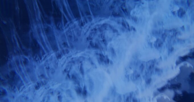 Blur cloud ink. Blue vapor. Smoke fume bright color splash water rainbow acrylic fog texture spill on abstract vibrant background.
