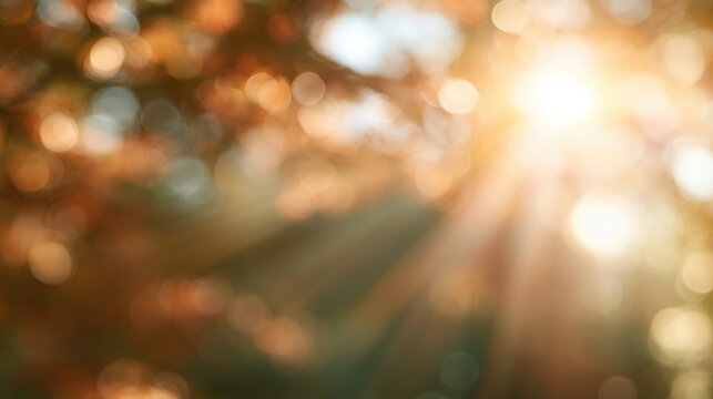 Soft sunlight filters through blurred autumn leaves, creating warm bokeh effects and gentle rays in a serene, nature-inspired scene.