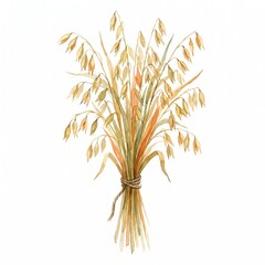 Fototapeta premium Watercolor Illustration of Ripe Oat Harvest Bundle Isolated on White