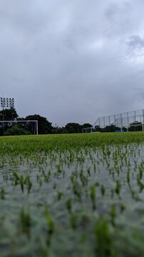 Campo encharcado