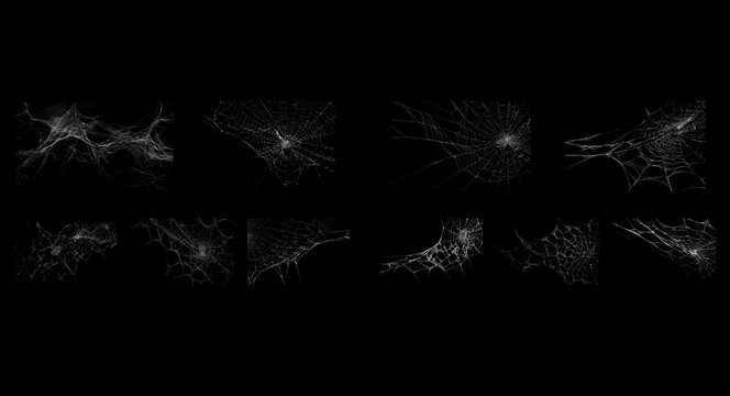 White Spider Web and Cobweb Overlay Set Isolated on Black Background