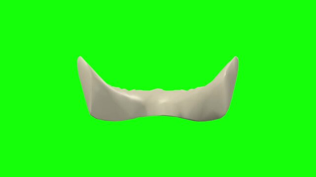 Gingiva of Lower Jaw Rotation Green Screen CC BY