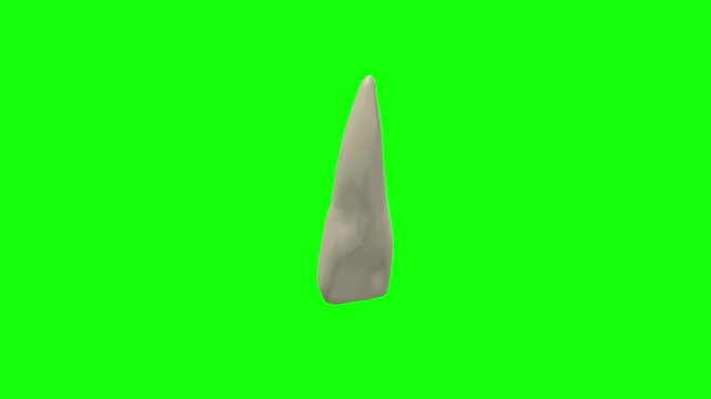 Left Upper Central Secondary Incisor Tooth Rotation Green Screen CC BY