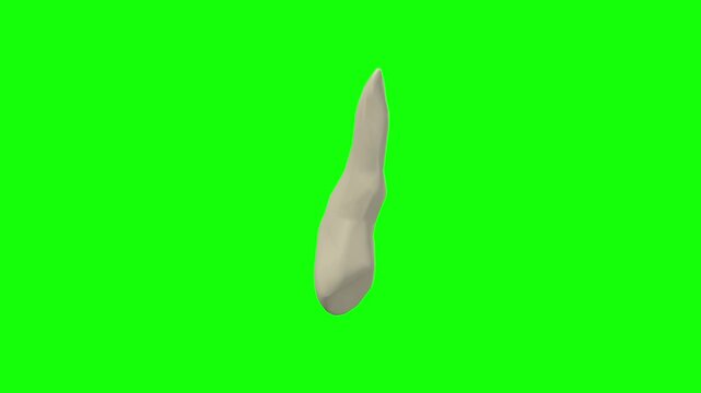 Left Upper Secondary Canine Tooth Rotation Green Screen CC BY