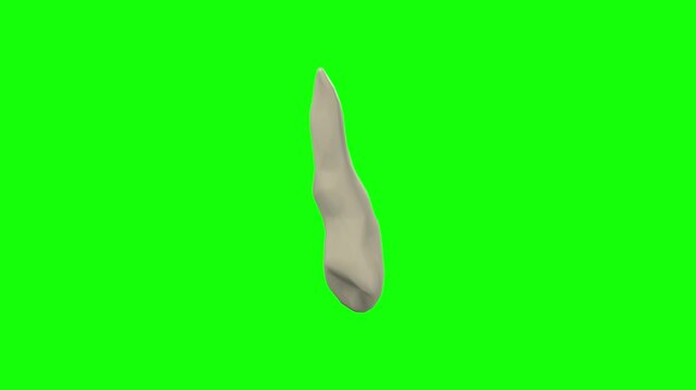 Right Upper Secondary Canine Tooth Rotation Green Screen CC BY