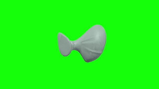 Check Ligament of Left Lateral Rectus Rotation Green Screen CC BY