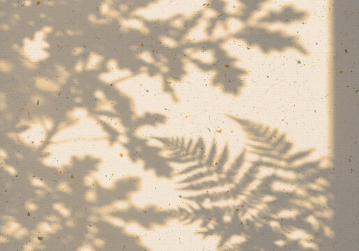 natural shadows of fern and oak leaves.
