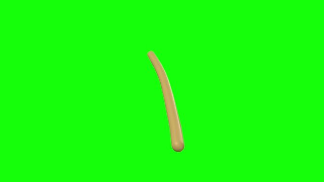 Left Frontal Nerve Rotation Green Screen CC BY