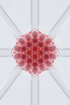 A circular cluster of many small pink glass test tubes arranged in a honeycomb pattern with white structural lines against a bright white background