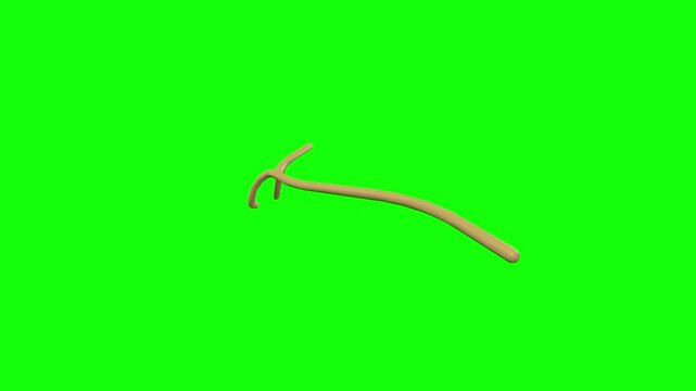 Left Lacrimal Nerve Rotation Green Screen CC BY