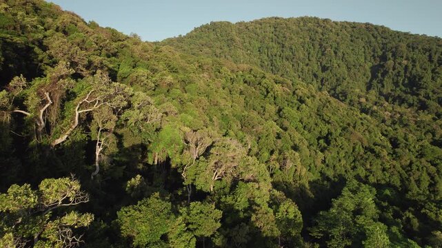 Aerial footage flying along forested mountain slopes, slowly turning to reveal the ocean and a remote island on the horizon in warm sunset light