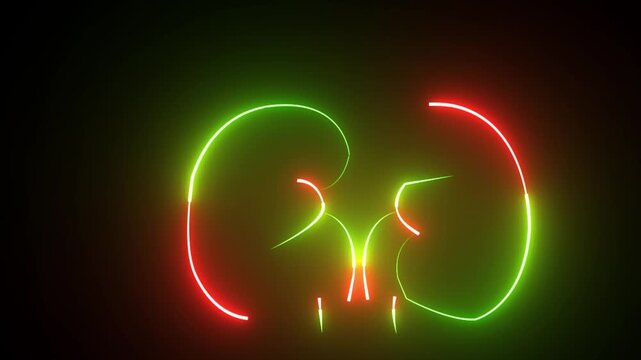 The appearance of neon symbol kidneys. Elements of Medicine in neon style icons. 4k Kidney animation by blue neon on black background. The kidney was divided into the right and left halves.hd video.
