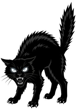Angry black cat with arched back and hissing face