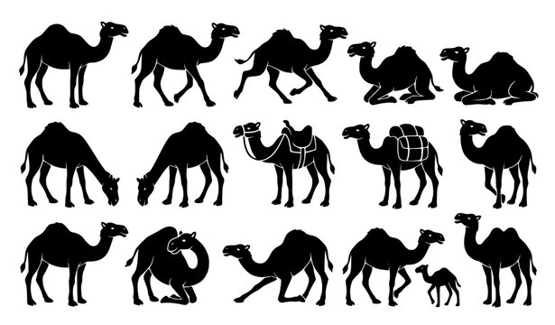 Desert Camel Cartoon Animal Silhouette Bundle Black Vector Set