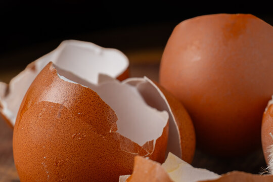 Macro shot of cracked brown eggshell with small feather on wooden surface.